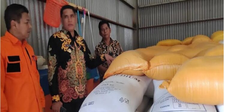 FOTO: IST/MATAKALTENG - Pj Bupati Kobar, Anang Dirjo, saat meninjau stok pangan di gudang Bulog Kobar belum lama ini.