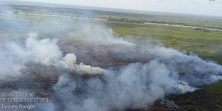 FOTO: IST/MATA KALTENG - Penampakan bencana karhutla yang menghanguskan setidaknya 50 hektare lahan di Desa Tanjung Rangas, Kecamatan Seruyan Hilir, Rabu 2 Agustus 2023.