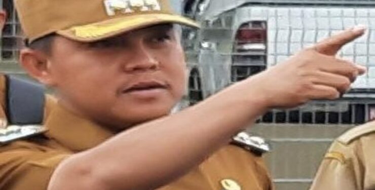 Penjabat Bupati Barito Selatan, Deddy Winarwan