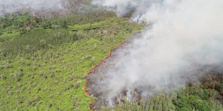 FOTO: PEMDES/MATA KALTENG - Potret udara kebakaran hutan dan lahan di Desa Palangan, Kamis 3 Agustus 2023.