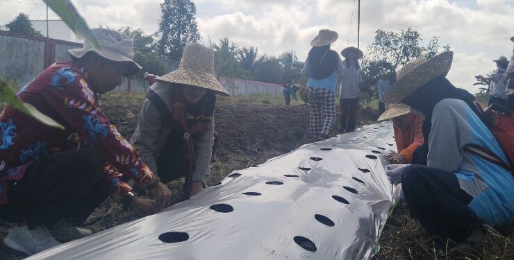 FOTO : AGUS/MATA KALTENG - Lurah Pasir Putih (Baju batik merah) sedang melihat tim PKK dan Kader Posyandu menanam tanaman dengan menggunakan bahan organik di Halaman Kantor Kelurahan setempat, Kamis, 3 Agustus 2023.