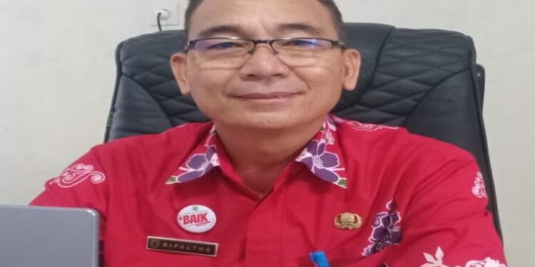FOTO: MATAKALTENG - Kepala DPMPTSP Kabupaten Barsel, H Ripaltha.