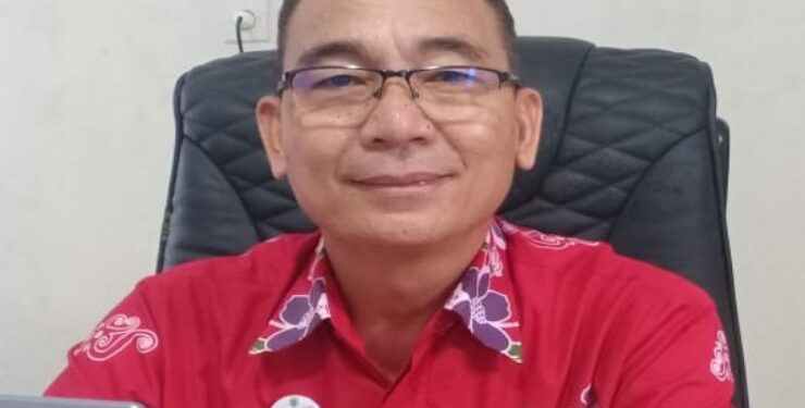 Kepala DPMPTSP Barsel H Ripaltha