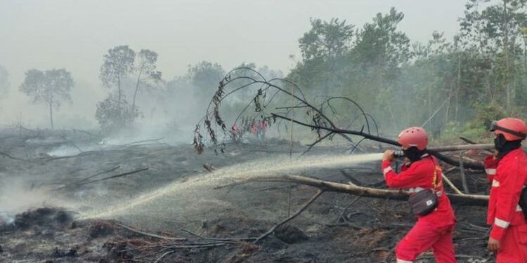 FOTO: MATAKALTENG - Kepala BPBD Kabupaten Barito Selatan (Barsel), Alif Suraya.