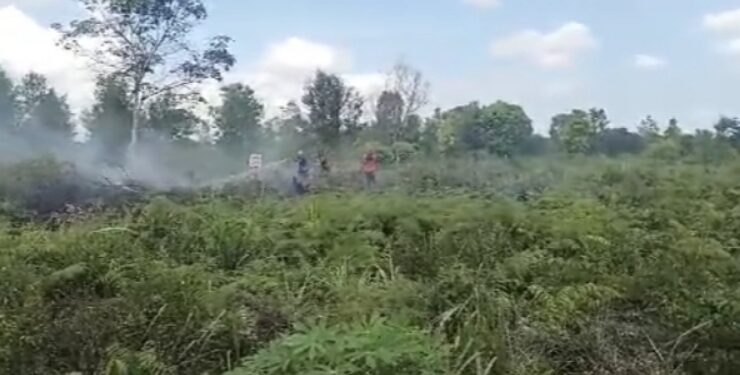 FOTO : Dok/MATA KALTENG - Kebakaran lahan yang terjadi di Jalan Pramuka, Sampit belum lama ini.