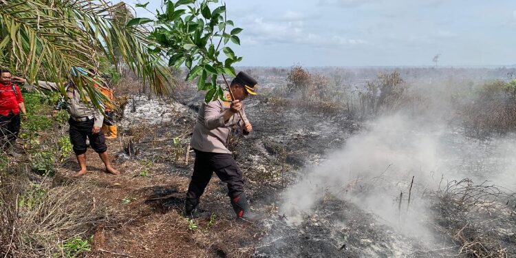 FOTO: IST/MATA KALTENG - Kapolres Kotim, AKBP Sarpani, saat melakukan pemadaman dan pendinginan api di lokasi terjadi nya kebakaran di Kecamatan Baamang dengan menggunakan daun. Selasa, 15 Agustus 2023.
