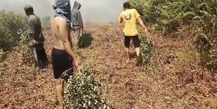 FOTO : DIAN/MATA KALTENG - Warga saat berusaha melakukan pemadaman kebakaran lahan di areal perumahan Graha Pramuka, Kelurahan Sawahan, Sampit, Rabu 16 Agustus 2023.