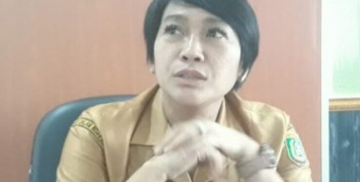 Kepala DPUPR Barito Selatan, Ita Minarni