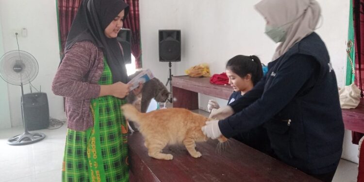 FOTO: IST/MATAKALTENG - Petugas DKPP Sukamara saat melakukan vaksinasi rabies terhadap hewan peliharaan.