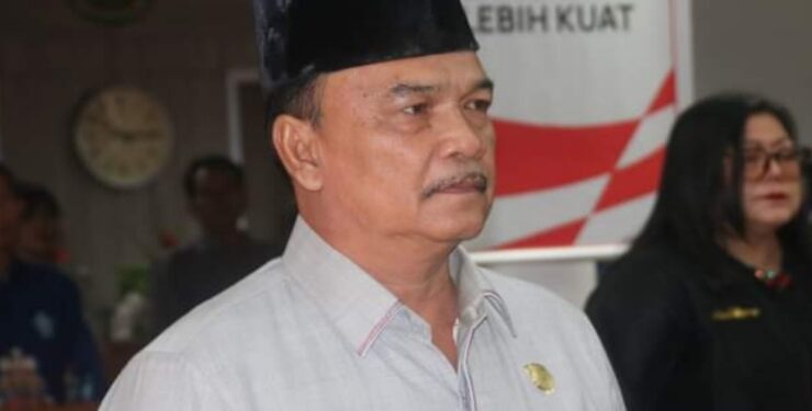 Anggota Dewan Perwakilan Rakyat Daerah (DPRD) Kabupaten Pulang Pisau