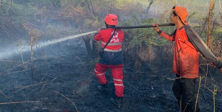 FOTO : DEVIANA/MATAKALTENG - Proses pemadaman kebakaran lahan di Kabupaten Kotawaringin Timur pekan kemarin.