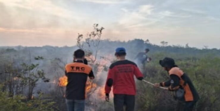 FOTO : AKH/MATAKALTENG - Petugas pemadam kebakaran Kabupaten Sukamara berjibaku memadamkan kebakaran lahan di daerah itu.