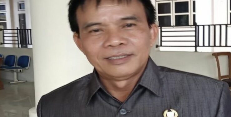 Ketua Komisi III DPRD Barito Selatan (Barsel) Hermanes