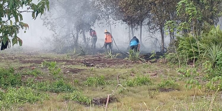 FOTO: DOK/MATA KALTENG - Upaya pemadaman kebakaran lahan di Jalan Lingkar Selatan oleh BPBD Kotim belum lama ini.