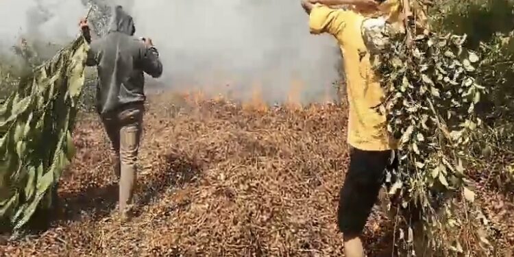 FOTO: DOK/MATA KALTENG - Warga RT 35, Baamang Barat saat berupaya memadamkan lahan yang terbakar belum lama ini.