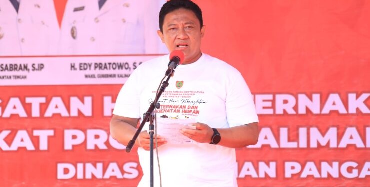 Wagub Kalteng Edy Pratowo