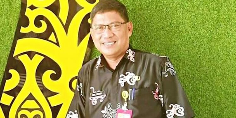 Kepala Diskominfostandi Pulang Pisau, Moh Insyafi.