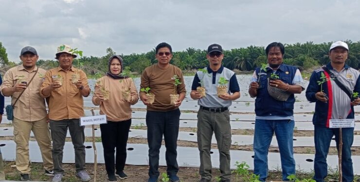 FOTO : AKH/MATAKALTENG - Wakil Bupati Sukamara Ahmadi saat menyerahkan bantuan bibit kepada kelompok tani