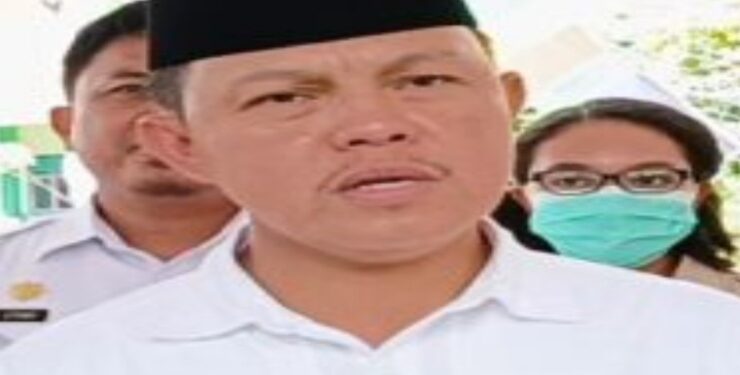 Penjabat Bupati Barito Selatan, Deddy Winarwan