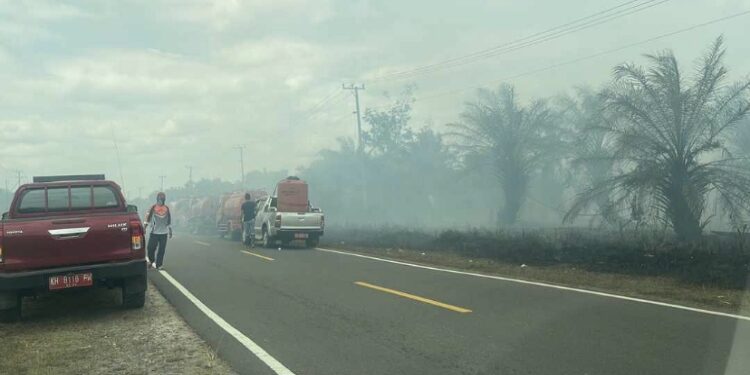 FOTO: DIAN/MATA KALTENG - Kebakaran lahan yang terjadi di Jalan Lingkar Utara, Sampit, Minggu 3 September 2023.