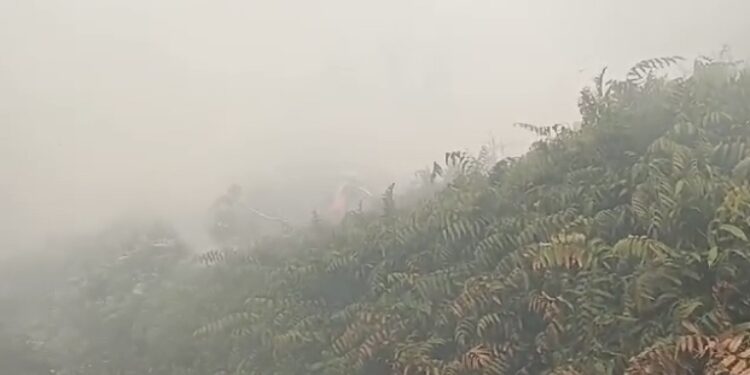 FOTO: DIAN/MATA KALTENG - Anggota MPA Graha Pramuka saat berupaya memadamkan kebakaran lahan di Jalan Pramuka, Sampit, Minggu 3 September 2023.
