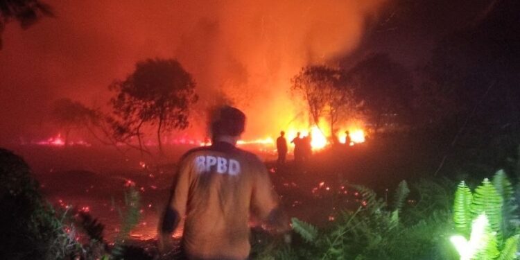 FOTO: DIAN/MATA KALTENG - Kebakaran lahan yang terjadi di Jalan Pramuka Sampit, Minggu 3 September 2023.