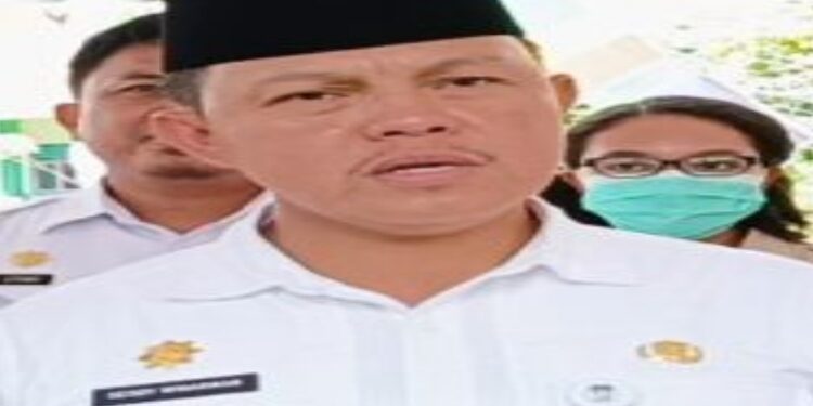 FOTO: MATAKALTENG - Penjabat (Pj) Bupati Kabupaten Barito Selatan (Barsel), H Deddy Winarwan.