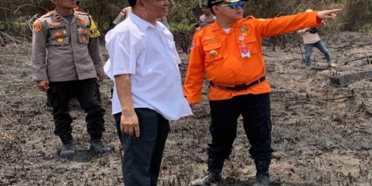 FOTO: IST/MATAKALTENG - Pj.bupati Barsel Deddy Winarwan saat meninjau lokasi pasca terjadinya kebakaran di lahan persawahan di Desa Babai.