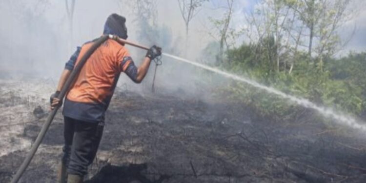 FOTO: BPBD/MATA KALTENG - Pemadaman karhutla di Jalan MT Haryono Barat belum lama ini.