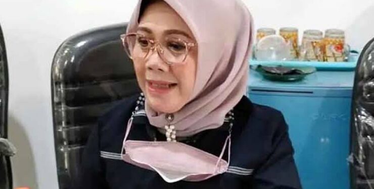 Anggota Komisi C DPRD Palangka Raya Norhaini