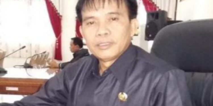 FOTO: MATAKALTENG - Ketua Komisi III DPRD Barsel, Hermanes.
