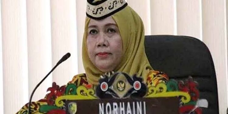 Anggota DPRD Palangka Raya, Norhaini.