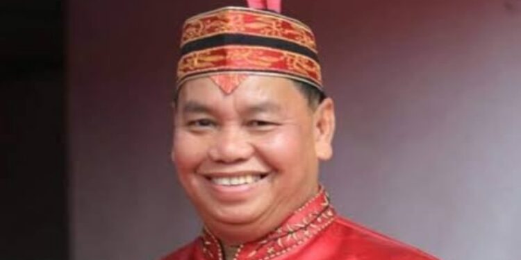 Ketua DPC PDI Perjuangan Kotim, H Halikinnor.