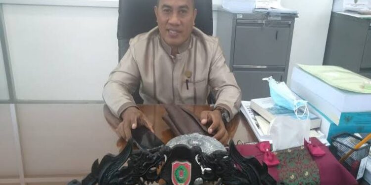 FOTO: MATAKALTENG - Anggota DPRD Kalteng, Jainudin Karim.