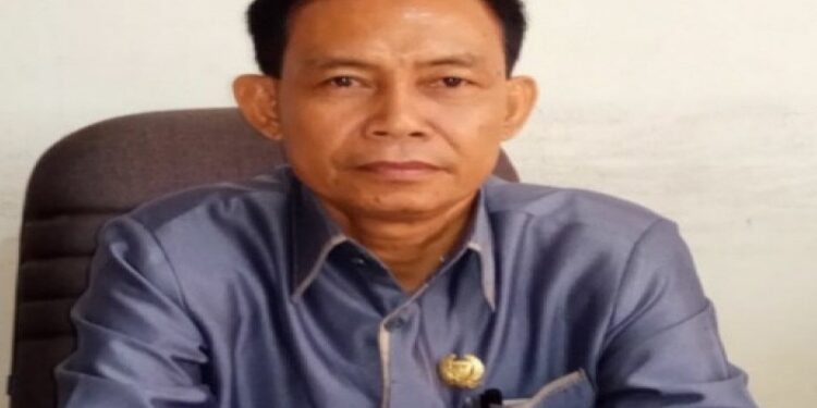 FOTO: MATAKALTENG - Anggota DPRD Kabupaten Barito Selatan, H Sudiarto.