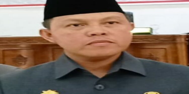 FOTO: MATAKALTENG - Penjabat Bupati Barsel, Deddy Winarwan.