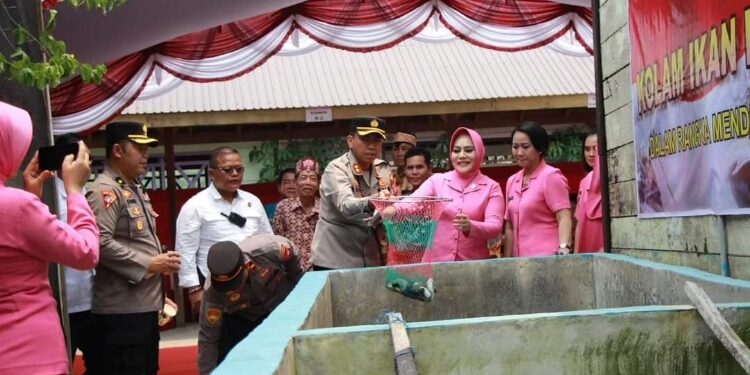 FOTO : HUMAS POLRES GUMAS/MATA KALTENG
- Kapolres Gumas AKBP Asep Bangbang Saputra bersama Ketua Bhayangkari Indah Asep, melakukan panen ikan lele di halaman belakang Mapolsek Sepang, Jumat 28 September 2023.