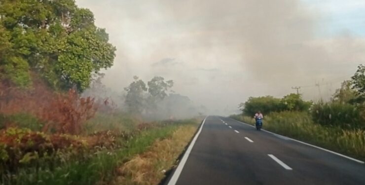 FOTO : DEVIANA/MATAKALTENG - Asap kebakaran lahan di sejumlah titik di wilayah Kabupaten Kotim, Minggu 31 September 2023.