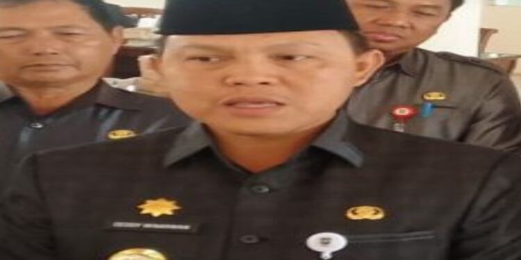 FOTO: MATAKALTENG - Pj Bupati Barsel, Deddy Winarwan.