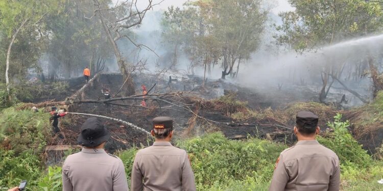 FOTO: MATAKALTENG - Kapolda Kalteng, Irjen Pol Nanang Avianto (tengah), saat meninjau lokasi karhutla di Kabupaten Pulang Pisau.