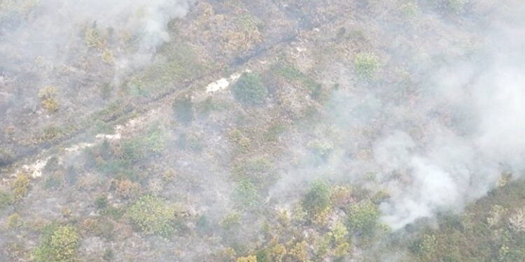 FOTO: MATAKALTENG - Pantauan melalui udara kondisi karhutla di Kalteng.
