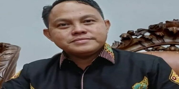 FOTO: MATAKALTENG - Pj Bupati Barsel, Deddy Winarwan.
