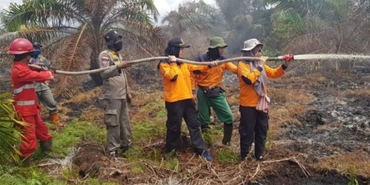 FOTO: IST/MATAKALTENG - Tim Karhutla Barsel saat memadamkan lahan yang terbakar.