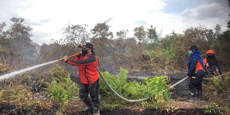 FOTO: BPBD/MATA KALTENG - Proses pemadaman karhutla di Jalan Lingkar Selatan, Sampit oleh tim BPBD Kotim.