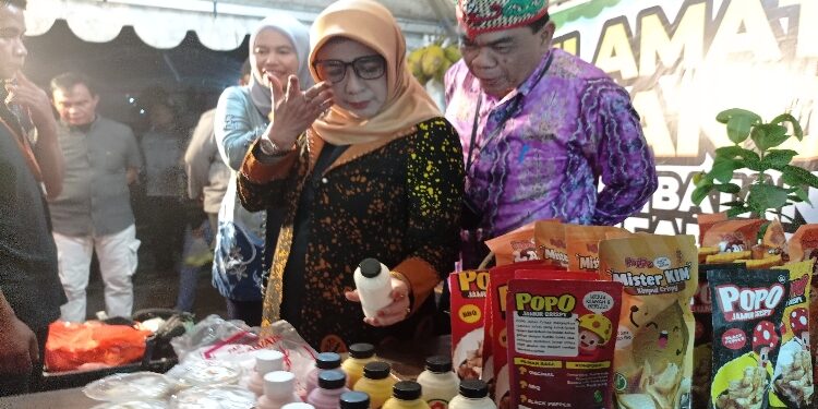 FOTO: DEVIANA/MATAKALTENG - Asisten 1 Setda Kotim Rihel bersama Kadis Pertanian Kotim Sepnita saat meninjau stand UMKM, Rabu 4 Oktober 2023.