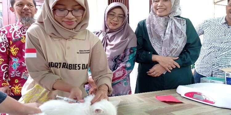 FOTO: DEVIANA/MATAKALTENG - Kadis Pertanian Kotim Sepnita bersama sekretarisnya saat menyaksikan vaksinasi rabies hewan peliharaan, Sabtu 7 Oktober 2023.