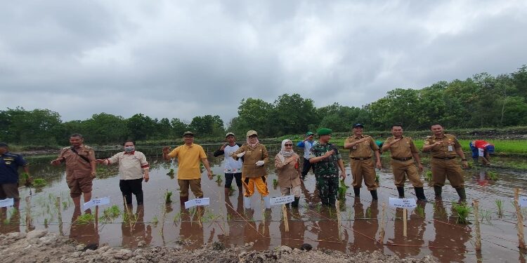 FOTO: RZL/MATAKALTENG - Jajaran Pemko Palangka Raya, pada saat foto bersama usai menanam padi.
