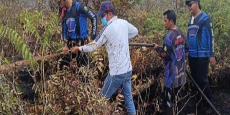 FOTO: MATAKALTENG - Plt Kepala BPBD Kota Palangka Raya, Alman Pakpahan, saat memadamkan api beberapa waktu lalu.