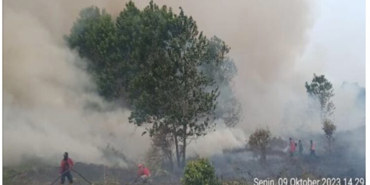 FOTO: BPBD/MATA KALTENG - Pemadaman Karhutla di Wilayah Ujung Pandaran, Kecamatan Teluk Sampit, Kotim pada 9 Oktober 2023.