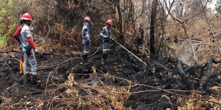 FOTO: MATAKALTENG - Petugas PT Adaro dan Dinas ESDM, saat melakukan pemadaman api.